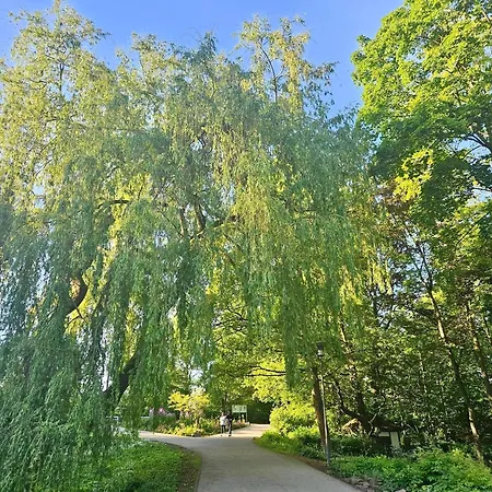Licht+luft, Wohnen Auf Zeit * Bad Nauheim