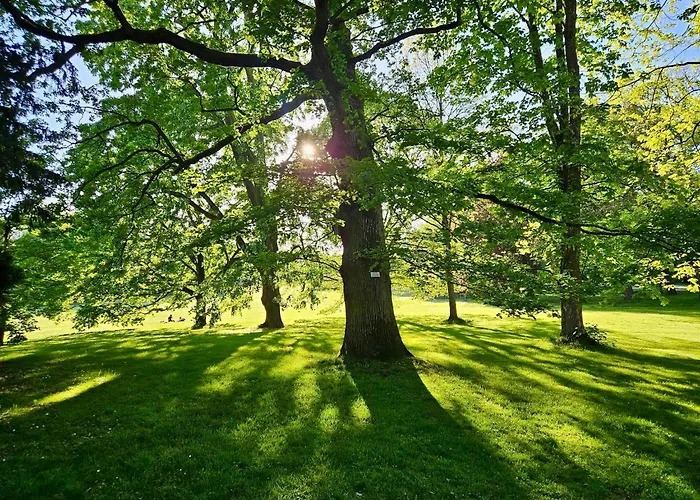 Licht+luft, Wohnen Auf Zeit Bad Nauheim