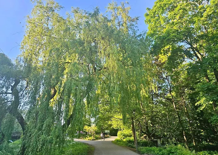 Licht+luft, Wohnen Auf Zeit * Bad Nauheim