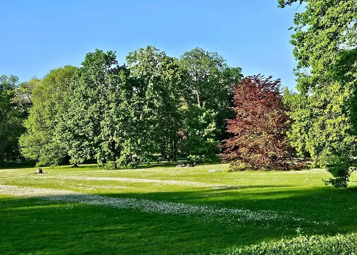 Licht+luft, Wohnen Auf Zeit *
