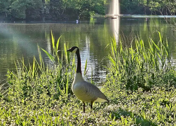 Licht+luft, Wohnen Auf Zeit * Bad Nauheim